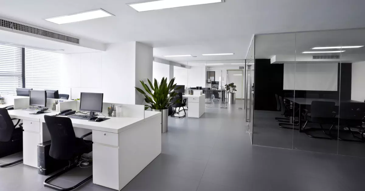 A white office with a plant